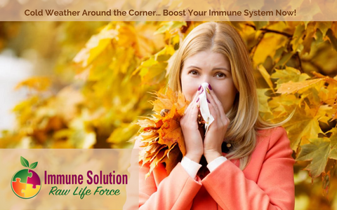 Cold Weather Around the Corner… Boost Your Immune System Now!