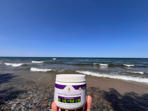 Feel Like You're on the Beach with Raw Organic Kamut® Wheatgrass!
