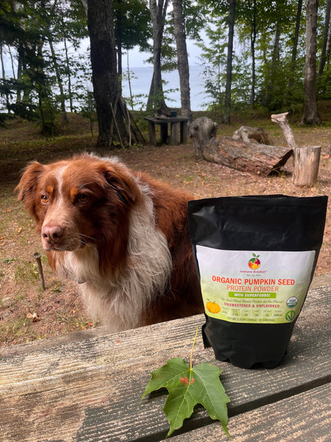Replace a Meal & Get Your Peptides with the Best Vegan Pumpkin Seed Protein Powder