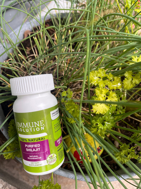 Immune Solution’s Shilajit is Better and More Affordable Than What You’d Find at the Store