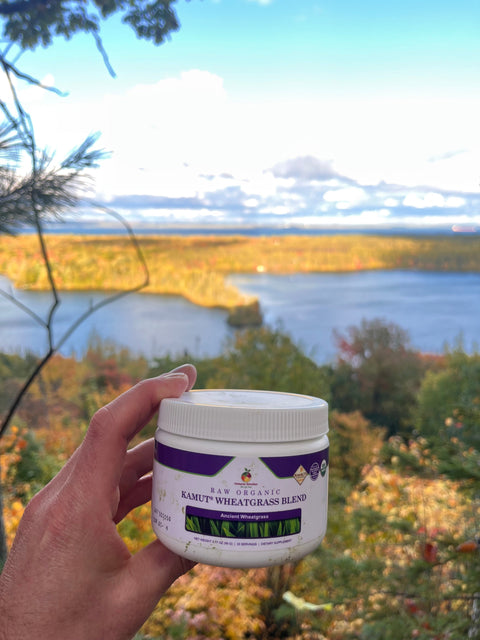 Maximize Serotonin Levels with Kamut Wheatgrass and a Healthy Gut