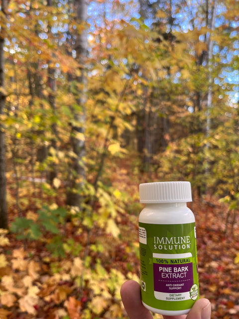 If You Add One Supplement to Your Diet this Autumn, Let it Be Pine Bark Extract