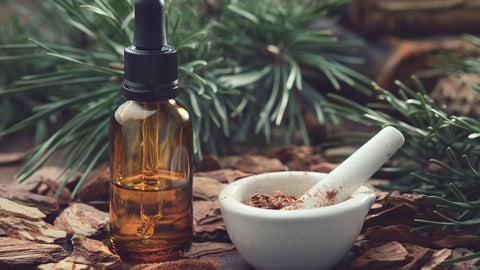 Celebrate Summer with More Energy and Antioxidants Thanks to Pine Bark Extract