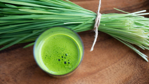 Combatting Chronic Illness with Raw Organic Kamut Wheatgrass Blend