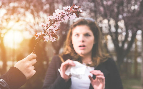 Quercetin: A Natural Remedy for Spring Allergies