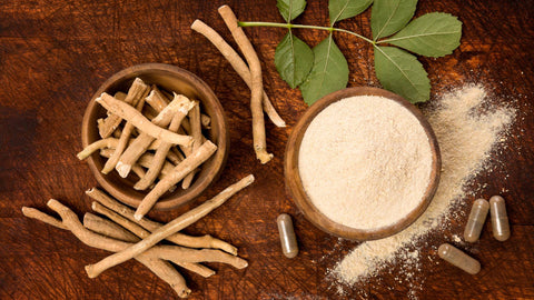 Exploring Ashwagandha: Promote a Positive Attitude with Nature’s Stress Relief Herb