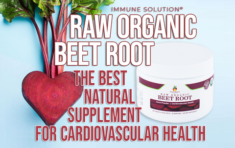 Raw Organic Beet Root: The Best Natural Supplement for Cardiovascular Health