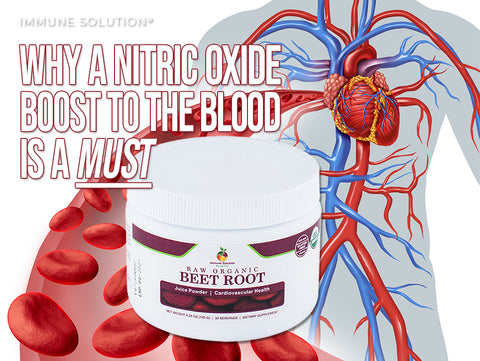 Raw Organic Beet Root – Juice Powder: Why a Nitric Oxide Boost to the Blood is a Must
