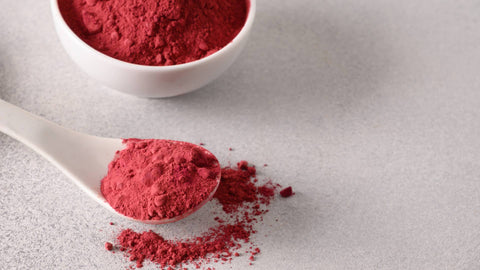 What is the Most Important Factor in a Healthy Immune System? Clean, Healthy Blood