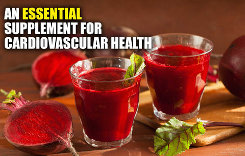 Organic Beet Juice Powder – An Essential Supplement for Cardiovascular Health