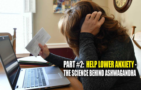 Herbs That Help Lower Anxiety – A Deep Exploration Into the Science Behind Ashwagandha (Part #2)