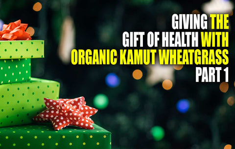 Giving the Gift of Health with Organic Kamut Wheatgrass – Part 1