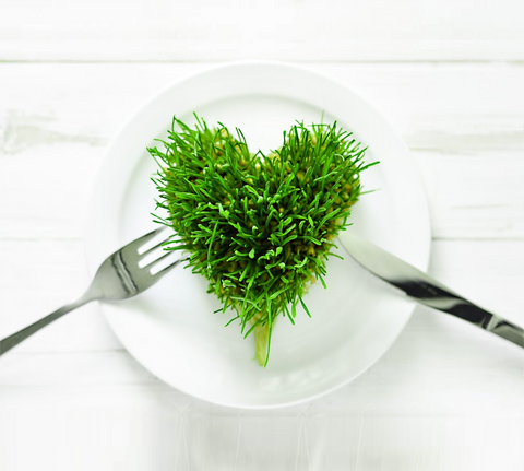 Raw Organic Kamut® Wheatgrass Blend: A Boost to Cardiovascular Health