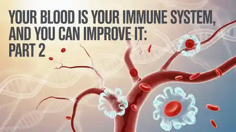 Your Blood IS Your Immune System, and You CAN Improve It: Part 2