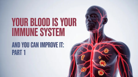 Your Blood IS Your Immune System, and You CAN Improve It: Part 1