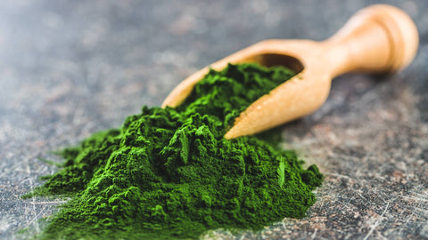 The Secret to Improving the Immune System Naturally