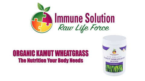 Organic Kamut Wheatgrass - The Nutrition Your Body Needs (with VIDEO)