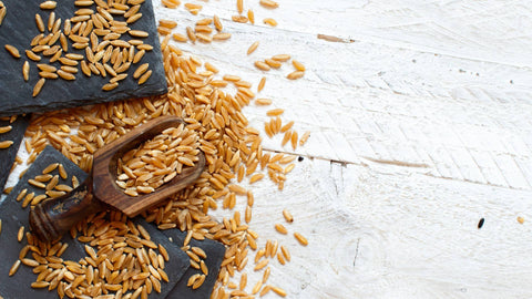 Manage Weight in the New Year with Immune Solution’s Organic Kamut Wheatgrass Powder