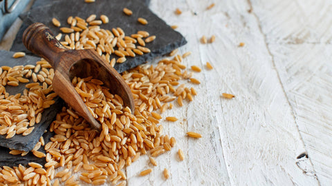 Eat Healthy This Holiday Season with RAW & ALIVE 100% Organic Kamut Wheatgrass Blend