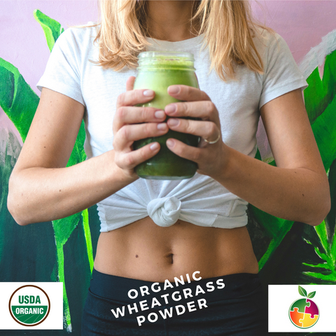 Organic Kamut® Wheatgrass – A Natural Supplement For Health Rejuvenation