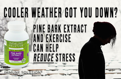 Cooler Weather Got You Down? Pine Bark Extract and Exercise Can Help Reduce Stress
