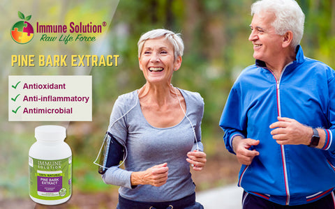 Pine Bark Extract: Nature's Best Antioxidant, Anti-inflammatory, and Antimicrobial