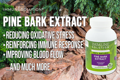 Pine Bark Extract — Reducing Oxidative Stress, Reinforcing Immune Response, Improving Blood Flow, and Much More