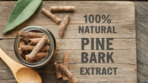 How Does 100% Natural Pine Bark Extract Help Keep Your Body Healthy?