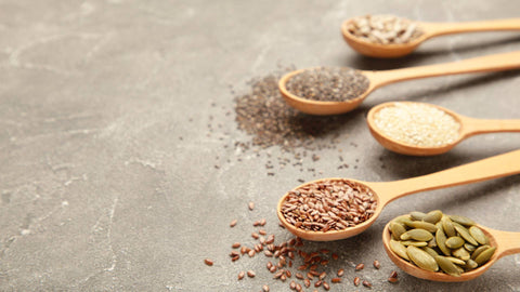 The Power of Pumpkin Seed Protein in Improving Gut Health