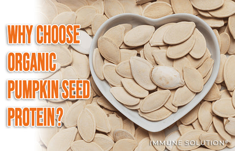 Why Choose Organic Pumpkin Seed Protein?