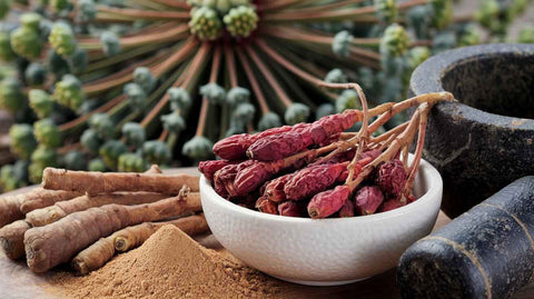 Ashwagandha: Nature’s Anti-Anxiety and Antidepressant