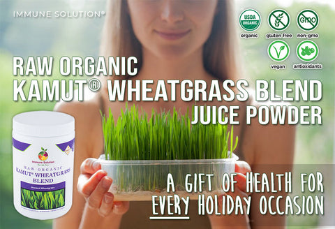 Raw Organic Kamut® Wheatgrass Blend – Juice Powder: A Gift of Health for Every Holiday Occasion