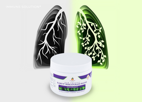 Raw Organic KAMUT® Wheatgrass Blend: A Natural Remedy for Promoting Lung Healing