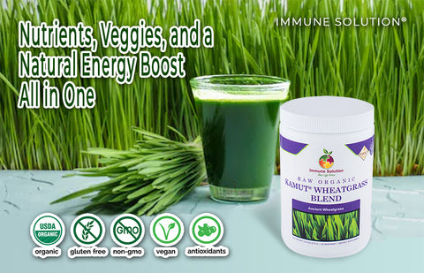 Raw Organic Kamut® Wheatgrass: Nutrients, Veggies, and a Natural Energy Boost All in One