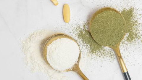 Winter is Here, It’s Time to Support the Immune System