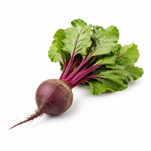 Raw Organic Beet Root – Juice Powder