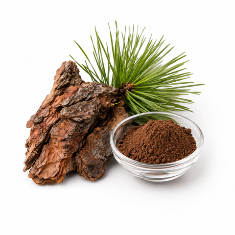 Pine Bark Extract